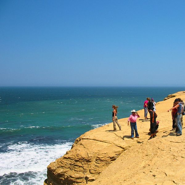 Tour to the Paracas Peninsula leaving from Lima.