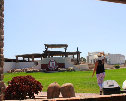 Visiting the Vineyards of Pisco.