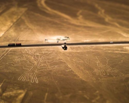 Marvel at the Tree and Hands geoglyphs from the air.