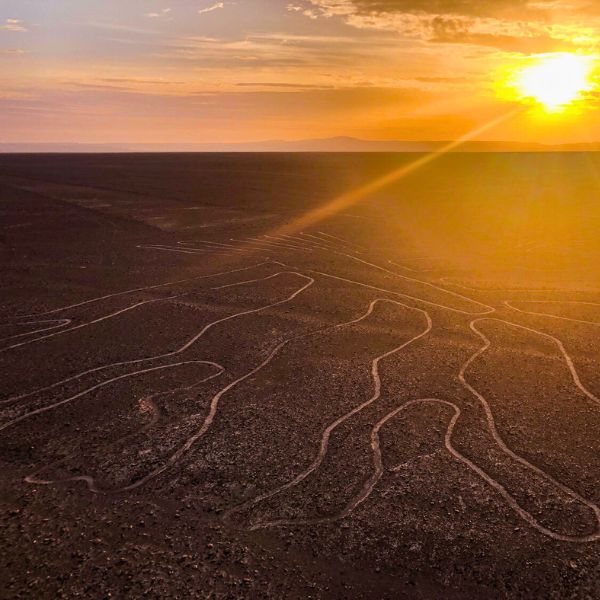 Tree figure on the Nazca Lines Desert.