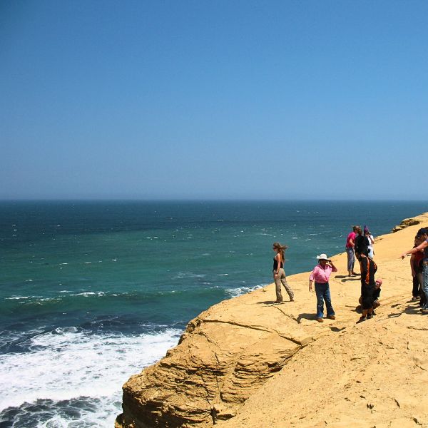 Excursion to the Paracas Peninsula.