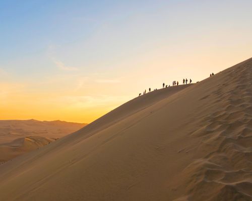 Huacachina Oasis & sandboarding—one-day trip from Lima