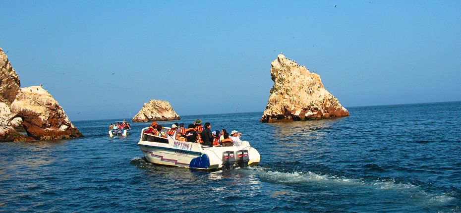 Tour to the Ballestas Islands and Huacachina