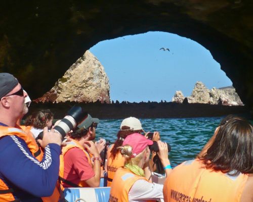 Explore Ballestas Islands, home to sea lions and penguins.