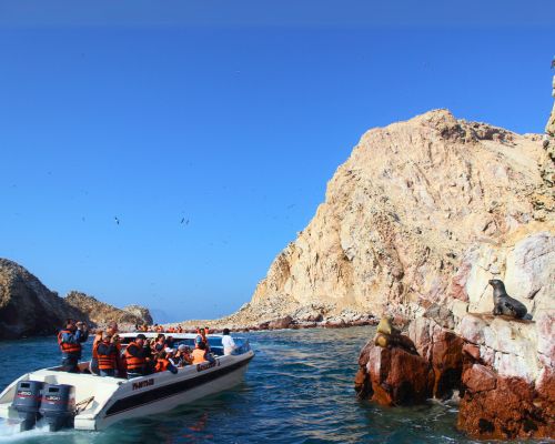 Boat tour to Ballestas Islands, Peru’s mini Galápagos.