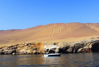 Ballestas Islands Tour from Ica