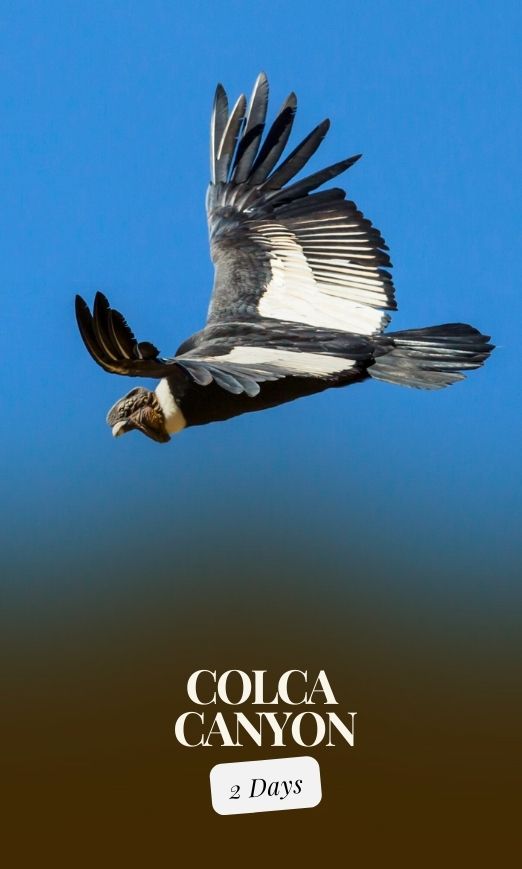 Colca Canyon Tour in Arequipa
