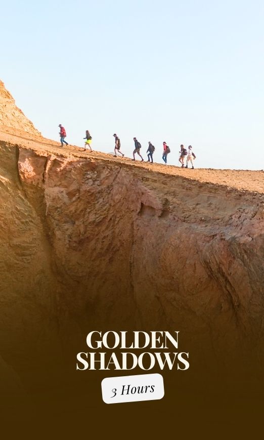 Golden Shadows Tours in Paracas Peninsula