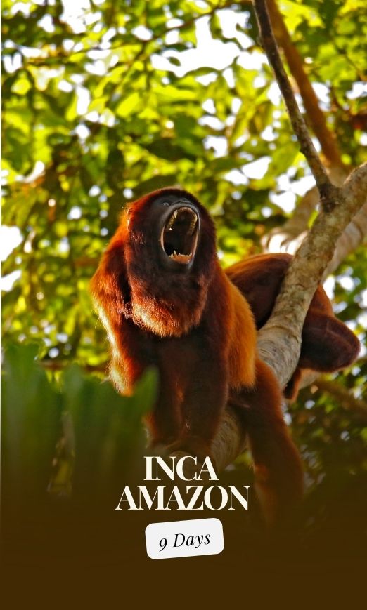 Inca Amazon Trip of 9 Days