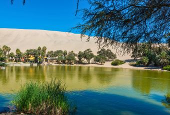 Oasis Huacachina in Ica
