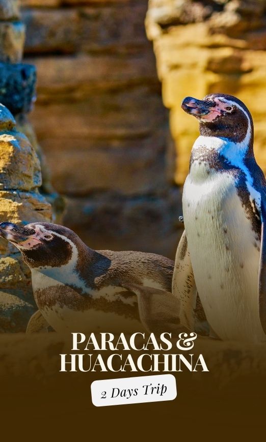 Paracas and Huacachina 2 Days Trip from Lima