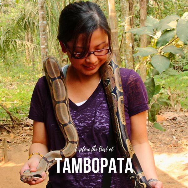 Visit to the Tambopata Jungle Reserve.