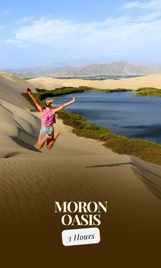 Tour to the Moron Lagoon from Paracas