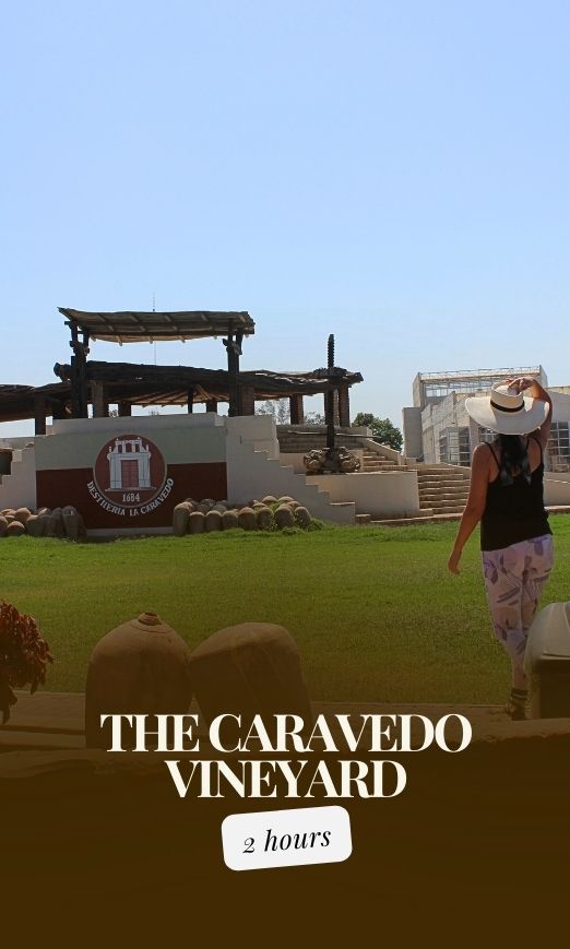 Tour to the Vineyard of La Caravedo