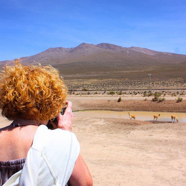 Visiting Salinas y Aguada Blanca National Reserve