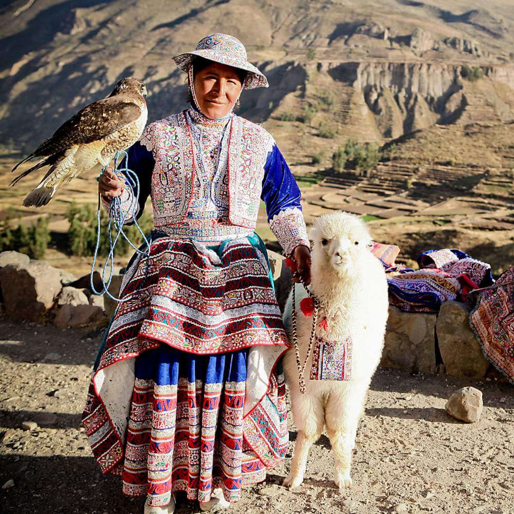 Donna tradizionale che indossa abiti andini ricamati con un alpaca e un uccello rapace nella Valle del Colca durante il Tour del Canyon del Colca da Puno.