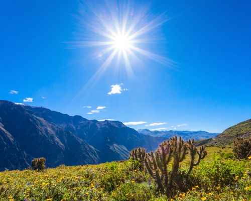 Colca Canyon Views