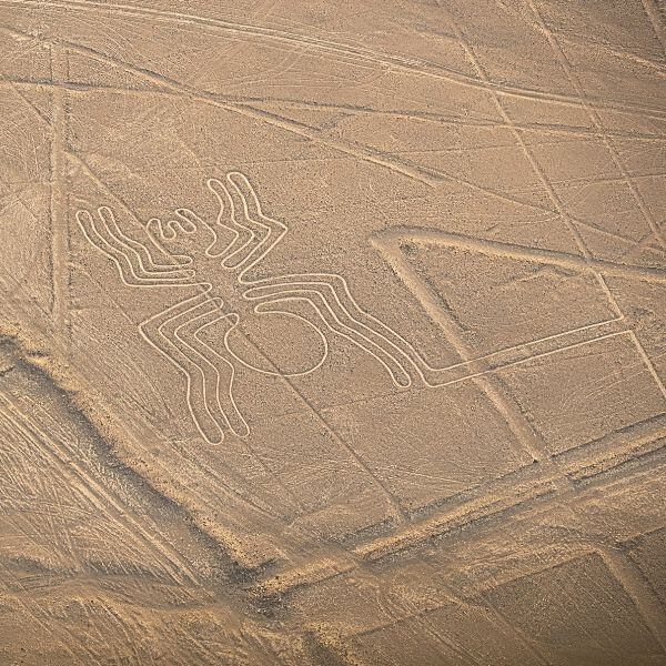Spider Figure on the Nazca Pampas.