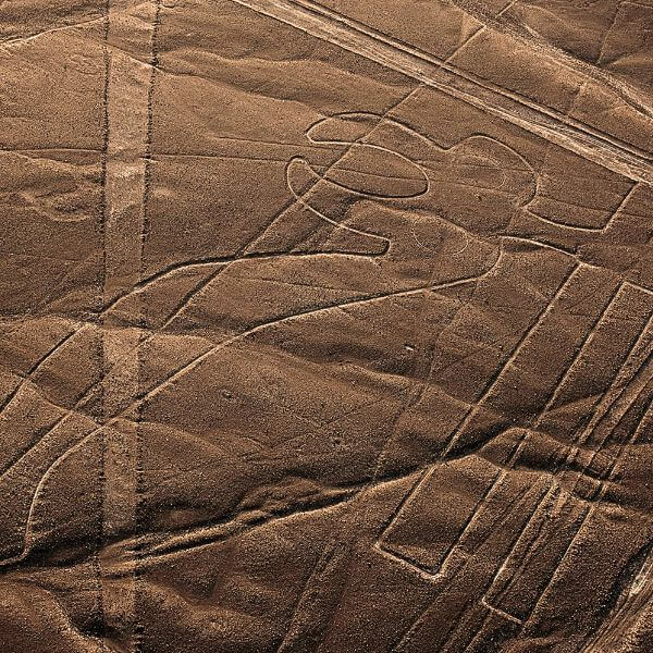 Parrot Figure on the Nazca Pampas.