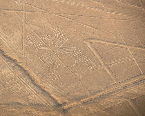 See the famous Spider, Hummingbird, and Astronaut.