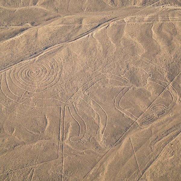 Tour to the Nazca Lines