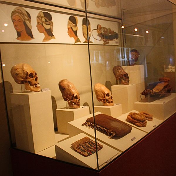 Inside Ica museum learning about ancient cultures of Peru.