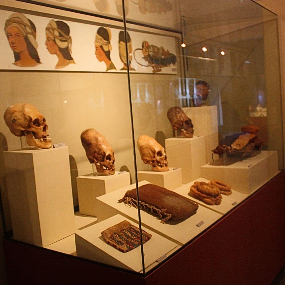 Ancient Paracas artifacts, elongated skulls, textiles, and archaeological exhibits at the Regional Museum of Ica, Peru.