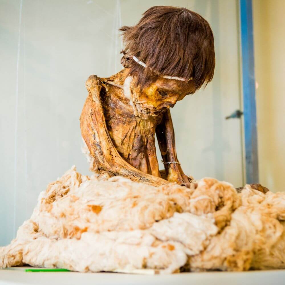 Well-preserved Paracas mummy displayed at the Regional Museum of Ica during an Ica City Tour in Peru.