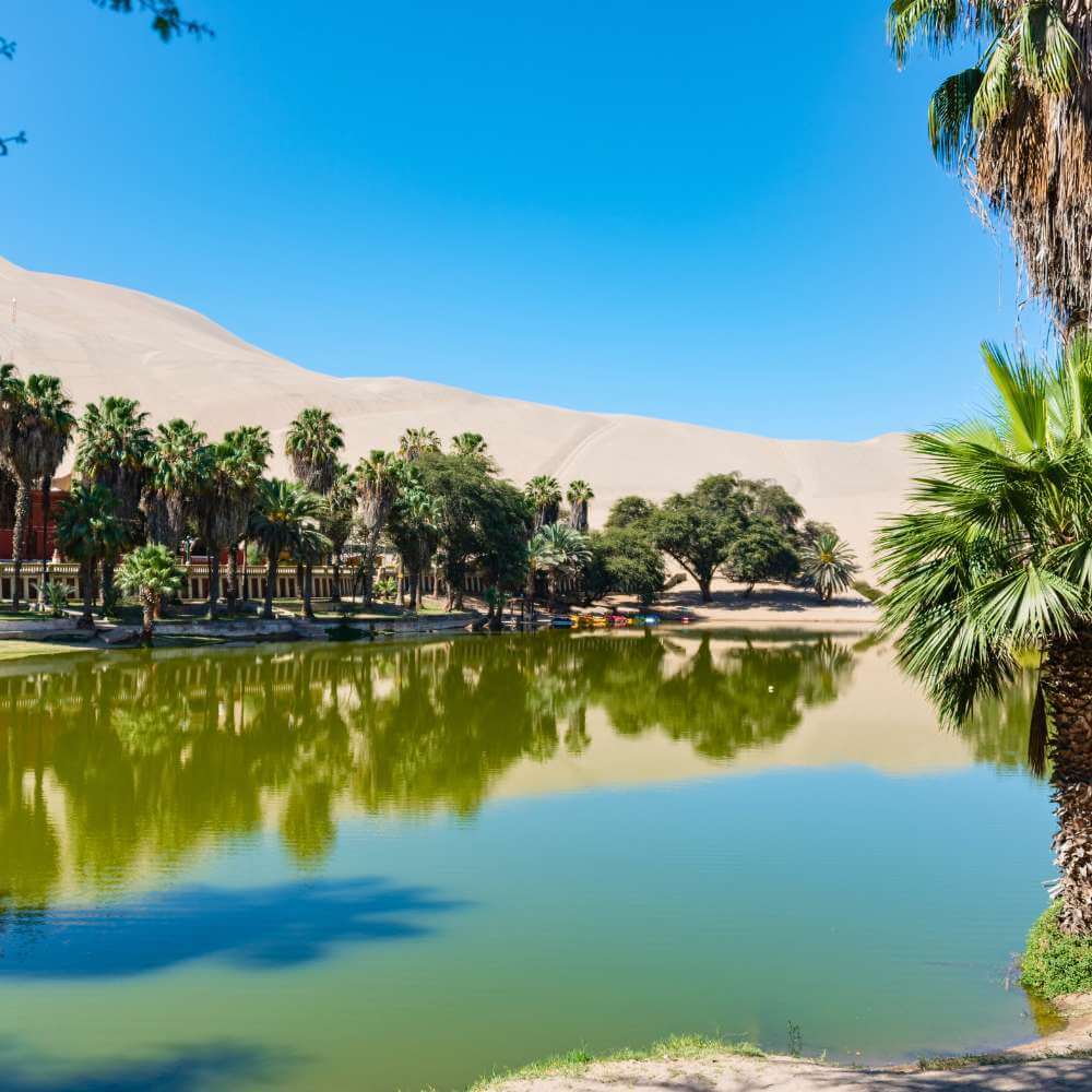 Scenic view of Huacachina Lagoon with palm trees and massive desert dunes during an Ica City Tour in Peru.