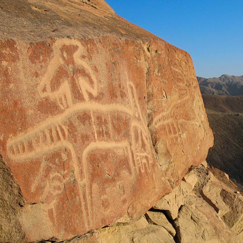 Ancient Palpa petroglyph carved into a desert rock in southern Peru, showcasing pre-Columbian rock art near the Nazca region.