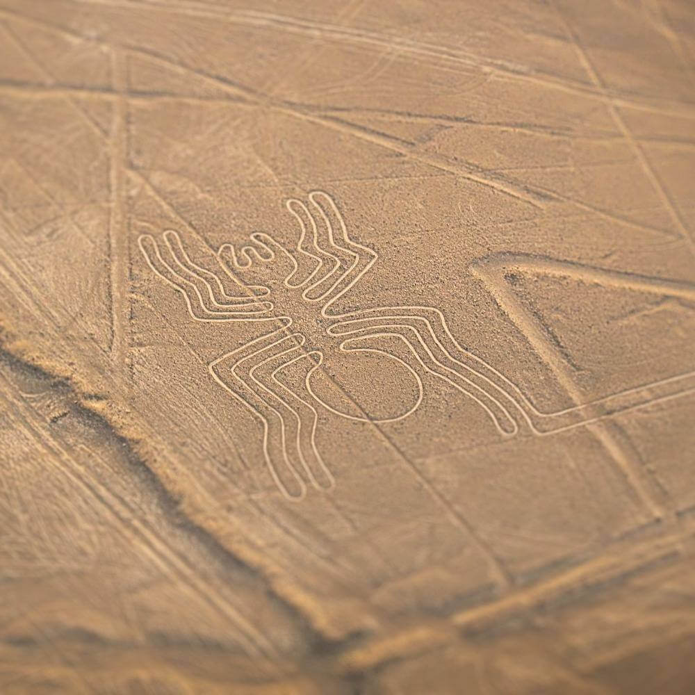Aerial close-up of the Nazca Spider geoglyph, an ancient desert figure representing one of Peru's most remarkable archaeological wonders.