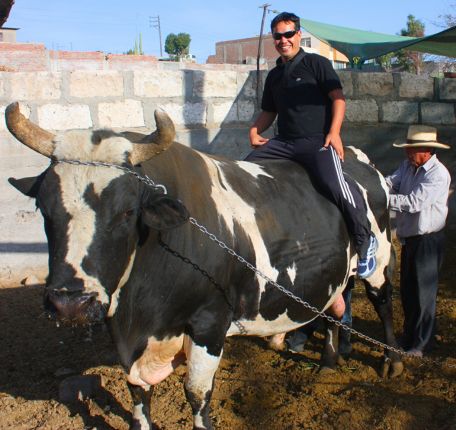 Visit to the Countryside of Arequipa.