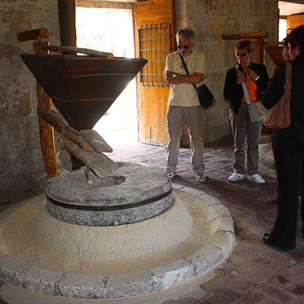 Sabandia Mill: A Tranquil Retreat Among Historic Grounds and Lush Cactus Gardens.