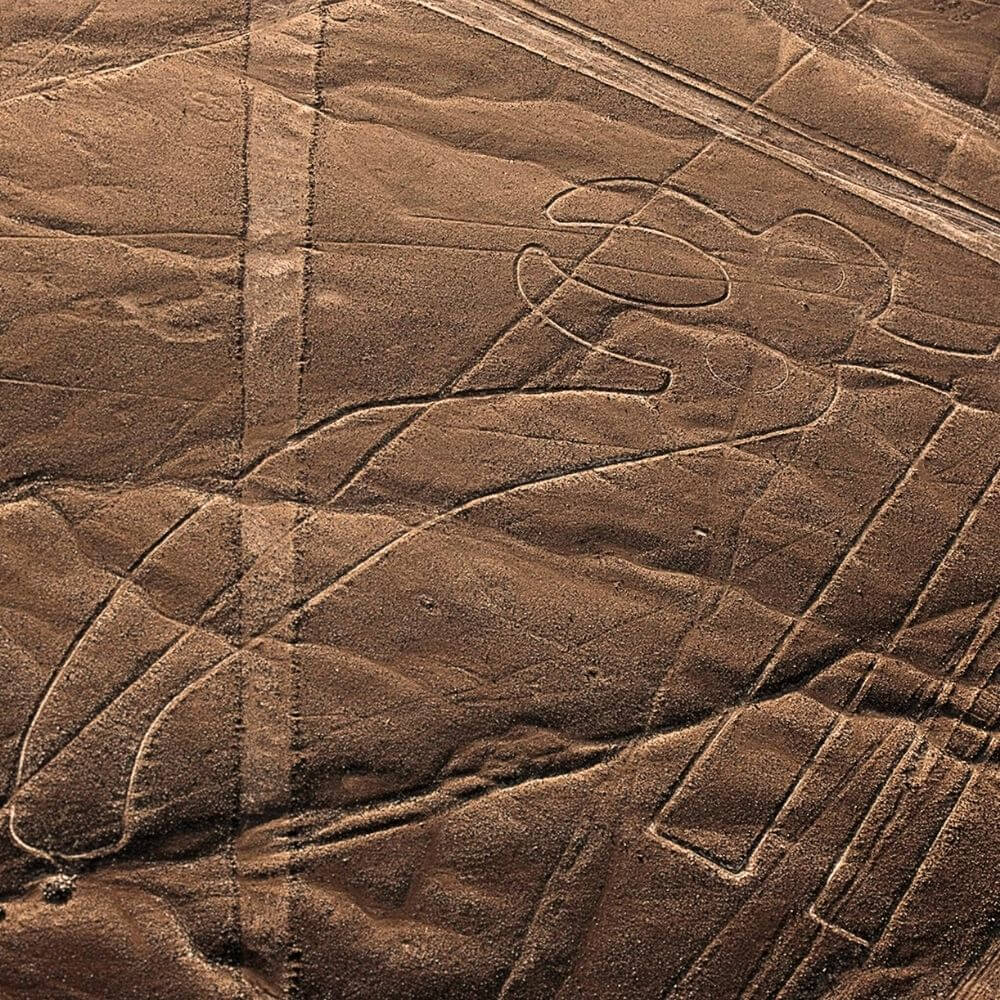 Ancient whale geoglyph carved into the desert plateau of southern Peru during a Nazca Palpa Lines Flight.