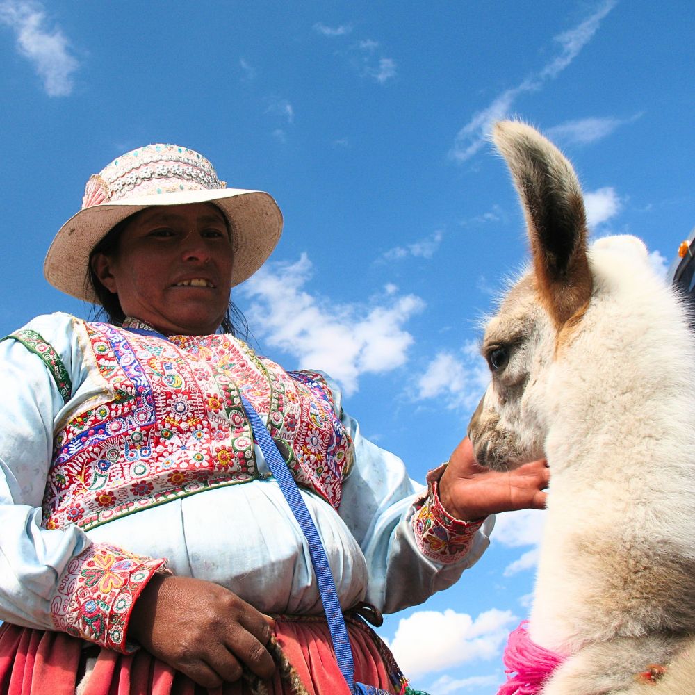 Local woman in traditional Andean dress with a llama during the Colca Canyon Tour from Arequipa, Peru.
