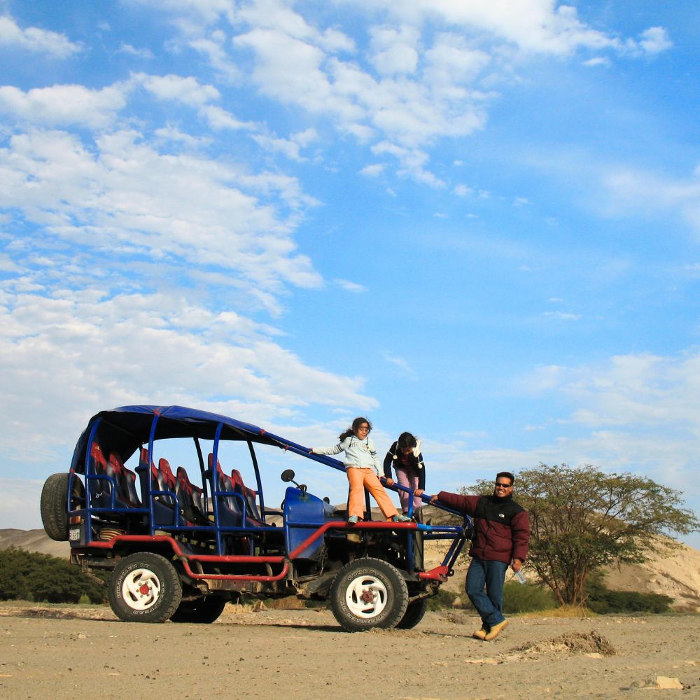 TRANSPORT