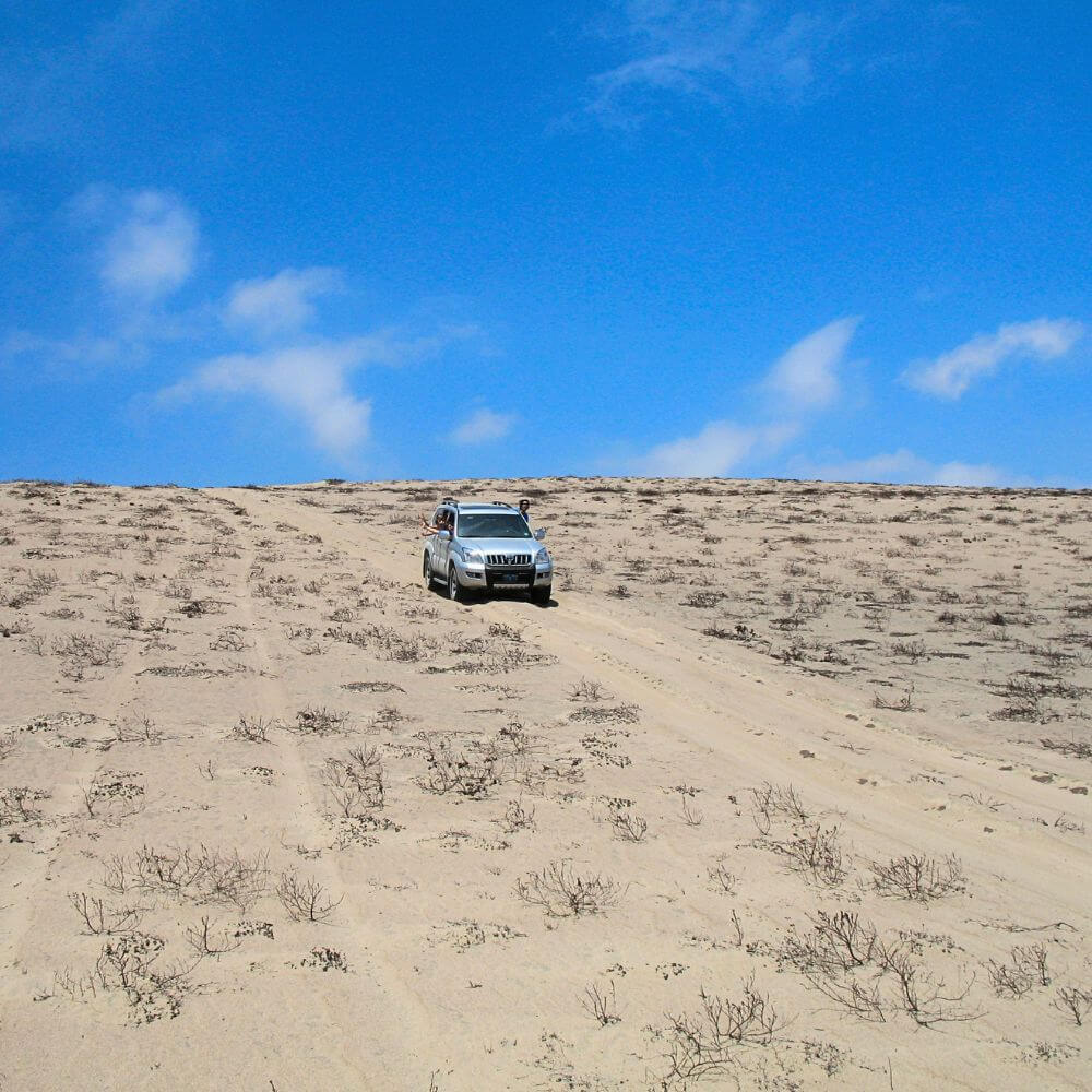 TRANSPORT