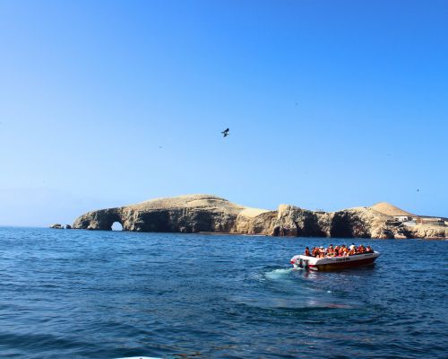 Boat tour to Ballestas Islands in Paracas