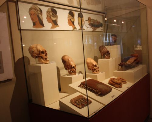 Elongated skulls at Ica Regional Museum
