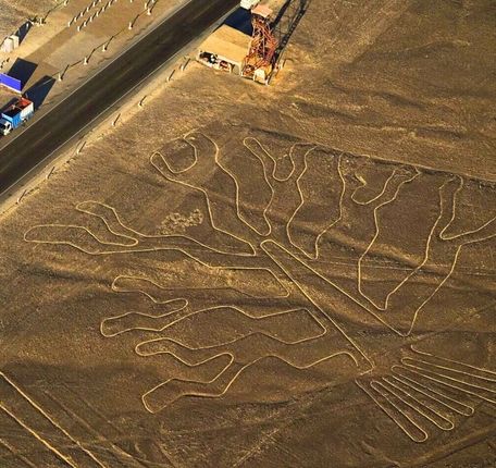 Nazca Lines Tree geoglyph