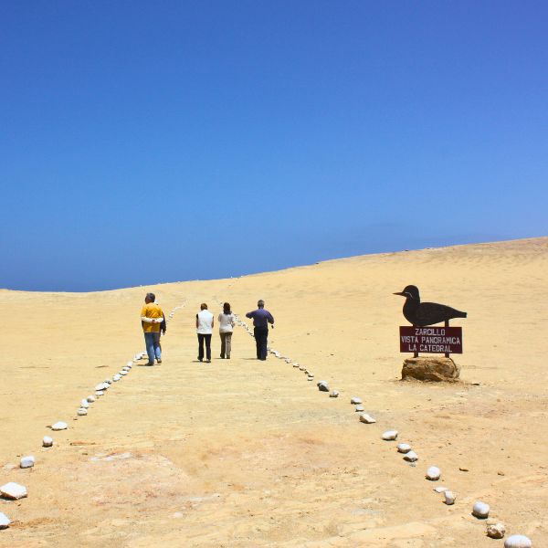 Tourists exploring Paracas National Reserve